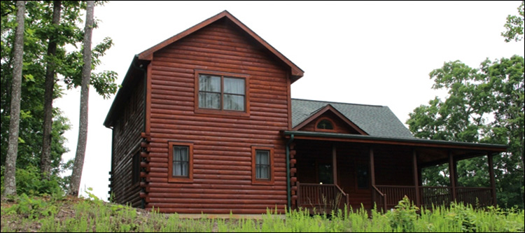 Professional Log Home Borate Application  Horry County,  South Carolina